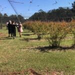 Darling Downs Regional Alliance Farm visit