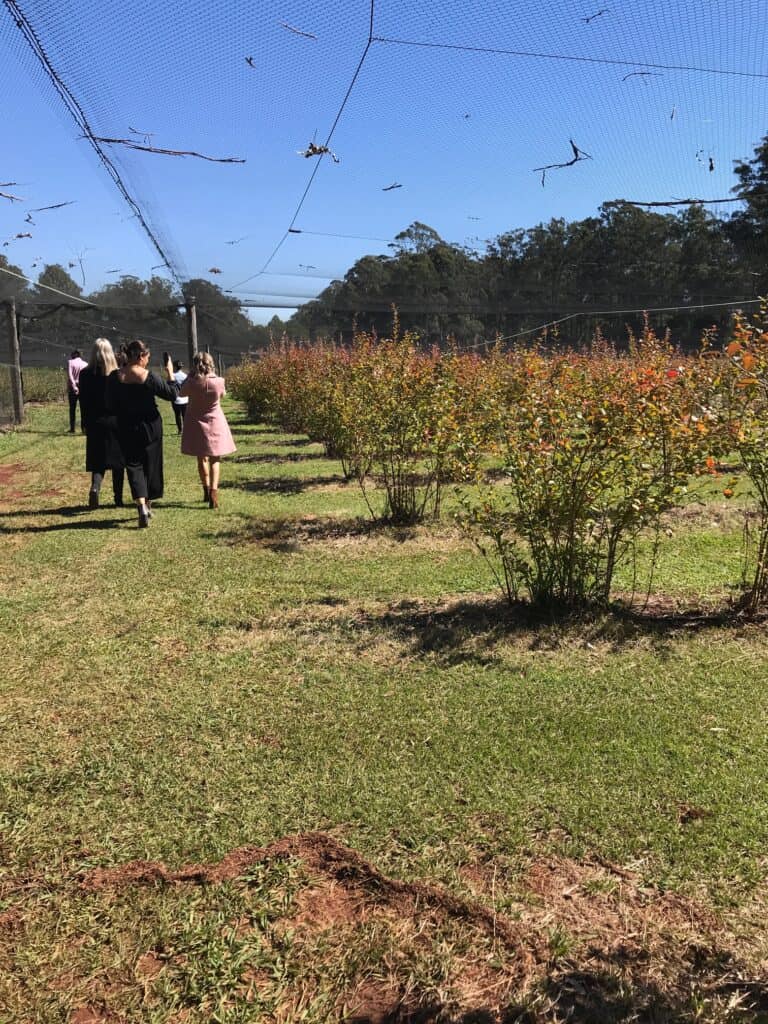 Darling Downs Regional Alliance Farm visit